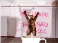 music video for paul hawkins and thee awkward silences. 'evil thoughts'