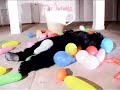 music video for paul hawkins and thee awkward silences. 'evil thoughts'