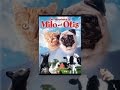 Adventures of Milo & Otis