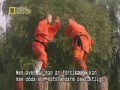 shaolin gongfu shaolin gongfu