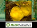 Medical Waste Disposal & Recycling