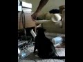Chubba Wubba Does BEST CAT Tricks!!