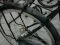 Interbike 08: Rohloff Civia