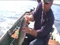 Jug Fishing Is Fun! Jug Fishing Is Fun!