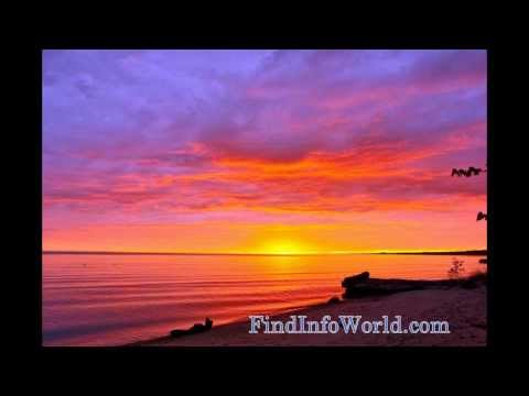 how to discover your purpose in 10 days
