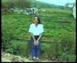 S�ZER  VE BAH�E�EH�R