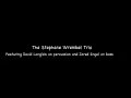 The Stephane Wrembel Trio @ Django in June, 2006