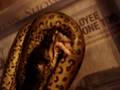 videos de Anaconda Eating/Feeding