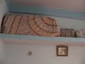 kamlesh rathore home kamlesh rathore home