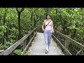 Cape Tribulation, Australia Travel Video Guide