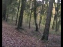 course vtt saint jean de braye