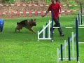 Ronnys 2. Platz in Donaueschingen