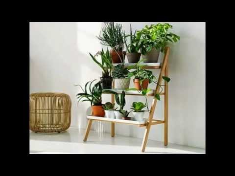 how to care for ikea plants