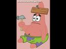 Spongi