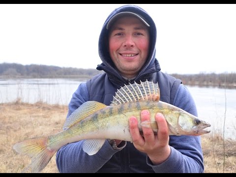 ночная ловля судака на джиг видео ночная ловля судака на джиг видео
