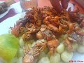 tarija a�o nuevo 2006-2007 FARRALOKA