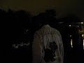 MVI_1273.AVI