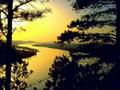 Ingrid Kup - Feel Me