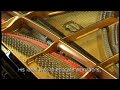 Peter Schuttevaar performs two parts of the French overture of Bach on the grand piano of the old townhall in Naarden. This is a sample of the DVD 