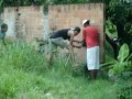 Bonde dos Ozama!!! - Máfia do cabeção pt 2 Bonde dos Ozama!!! - Máfia do cabeção pt 2