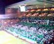 walk on at celtic v man utd champions league 211106 walk on at celtic v man utd champions league 211106