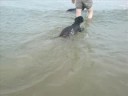 spike en joep in zeeland