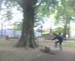 zappata al parco