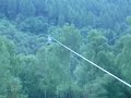 Go Ape Mel landing