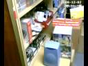 perro guardian alarma