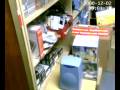 perro guardian alarma