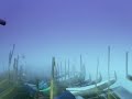 Le Temps Le Temps