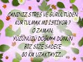 taşova tanıtım videosu