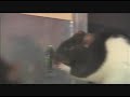 Rat Basketball at COSI Science Center