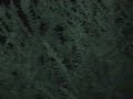 8-2-07 Ongoing Terroristic Stalking by SAPD with helicopter