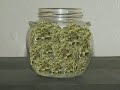 greenbud In The Jar.mp4