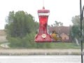 Oriole Stealing from a Hummingbird feeder