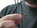 Bow Tuning Tips/How To Tie A D Loop