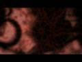 Holotropic