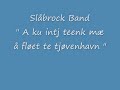 Sl�brock band  \" A ku intj teenk m� � fl�et te tj�venhavn \"