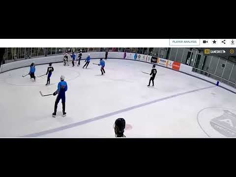 Kings of Spring Goal-PP