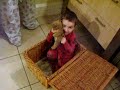 cheeky boy hiding in a box cheeky boy hiding in a box