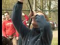 Abseilen, tokkelen, touwbaan en klimwand in Nijverdal