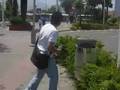 perroinacap