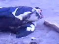 Video bokep ku Video bokep ku