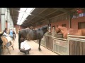 Pony Ranch Lanwermann