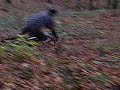 beginner bike fall beginner bike fall