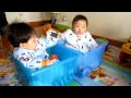 MVI_1560.MOV