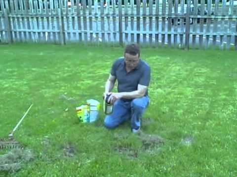 how to repair yard after dogs