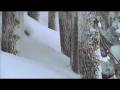 Mt-Bachelor-Experien