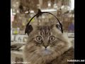 gatto techno gatto techno